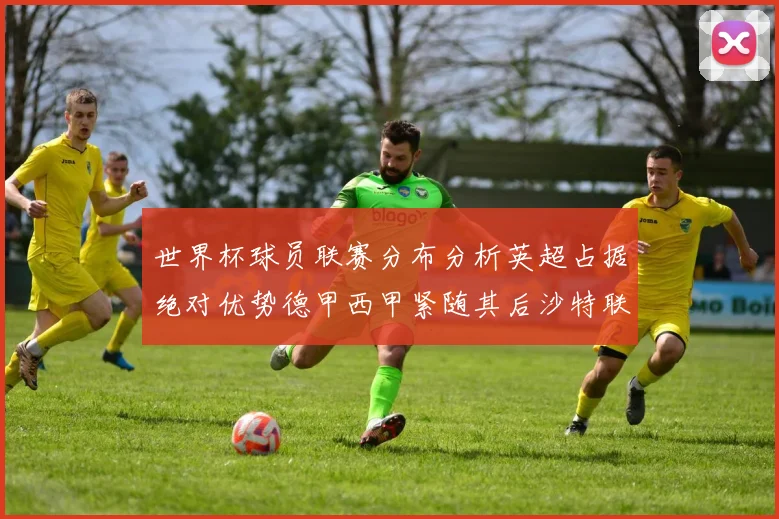 世界杯球员联赛分布分析英超占据绝对优势德甲西甲紧随其后沙特联排名第六